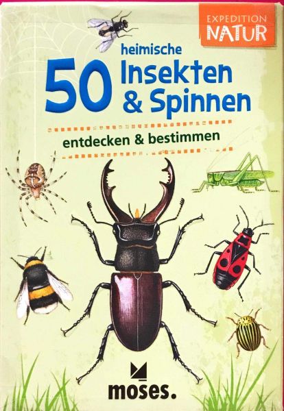 Spiel 2089.6